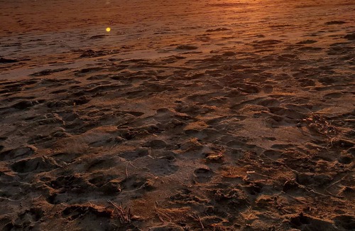 Stinson Beach House | Private Beach Getaway