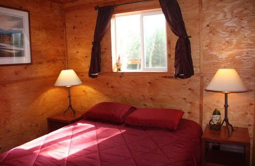 Healy Cabin | Private cabin near Denali National Park