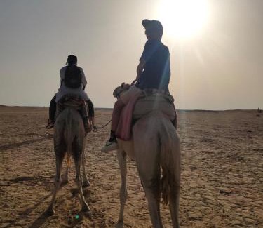 Douz Other | Private Camp25km-from DOUZ