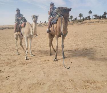 Douz Other | Private Camp25km-from DOUZ