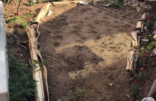 Morena Cottage | Private Cottage by Mission Bay with Pool, and Spa Massage chair inside!