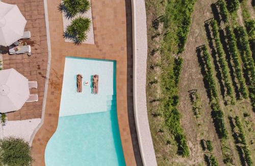 Baiao House | Private Douro- Quinta das Susandas