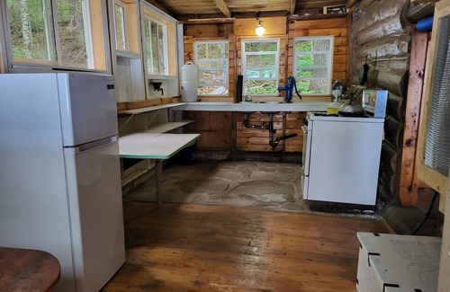 Limerick Cottage | Private water (boat) access, rustic offgrid log cabin on class five lake.