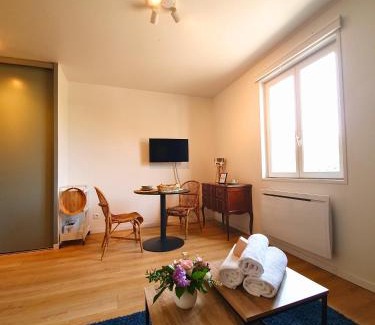 Glaciere - Montmein Apartment | Proche métro B et Hopital Lyon sud