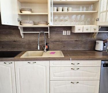 Hradec Kralove Apartment | Prostorný apartmán v centru - Wi-Fi, Netflix