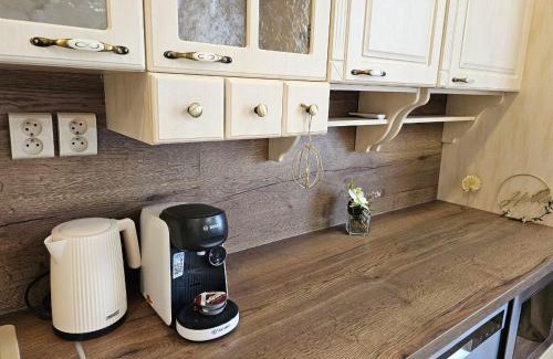 Hradec Kralove Apartment | Prostorný apartmán v centru - Wi-Fi, Netflix