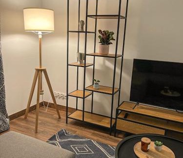 Wielen Apartment | Przytulny Apartament Mickiewicza 14/3