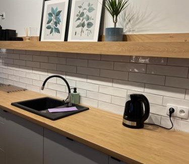 Wielen Apartment | Przytulny Apartament Mickiewicza 14/1