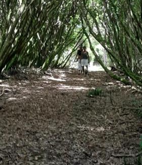 Puponga House | Puponga Coastal Escape