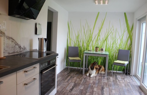 Sieseby House | Pure nature vacation, with and without a dog in Kappeln on the beautiful Schlei