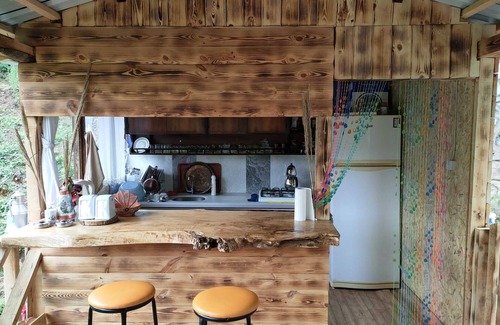 Ayder Cabin | Purkinora Bungalov