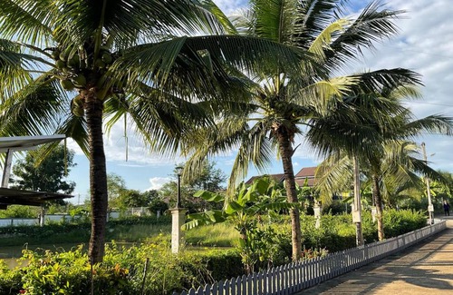 Phrae Bed & Breakfast | PZ วิวล์ สนามไดร์ฟกอล์ฟและห้องพัก