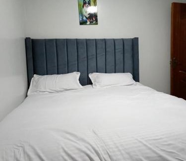 Juja Apartment | Qara Homes One Bedroom, Juja