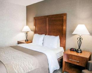 Seekonk Hotel | Quality Inn Seekonk-Providence