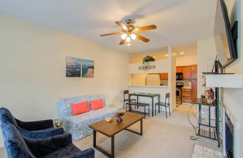 Astrodome Apartment | Quiet and Peaceful Med Center 2 Bd/1Ba