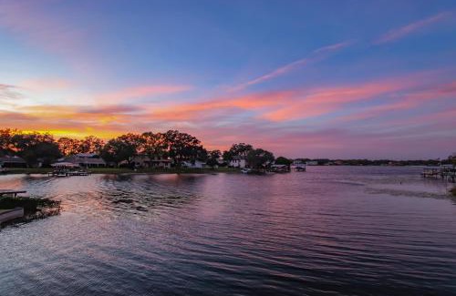 Carrollwood House | Quiet Lakefront, Pool, Game Room