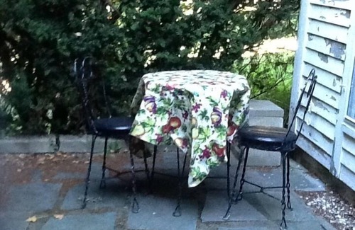 Wellfleet Cottage | Quiet Outer Cape Get Away