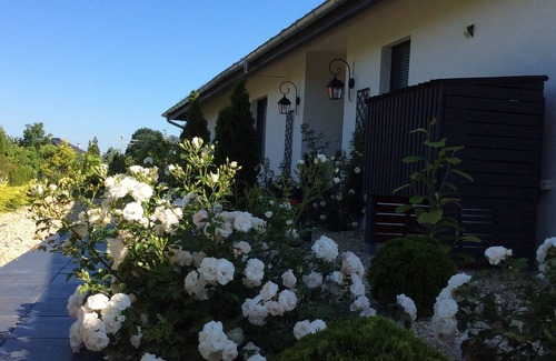 Zgorzelec Apartment | Quiet place/terrace/garden/pool/pet friendly