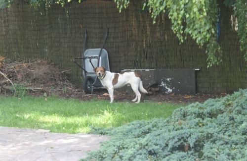 Sonchamp Bed & Breakfast | Quiet room 78120 Sonchamp on your own for business or pleasure