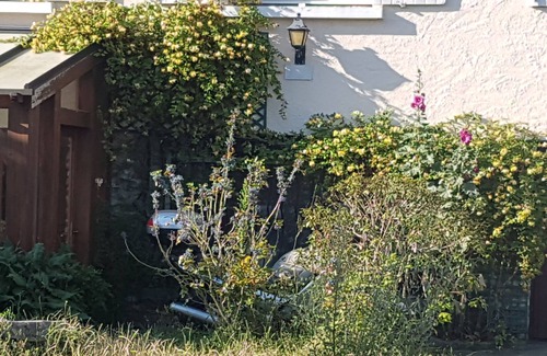 Sonchamp Bed & Breakfast | Quiet room 78120 Sonchamp on your own for business or pleasure