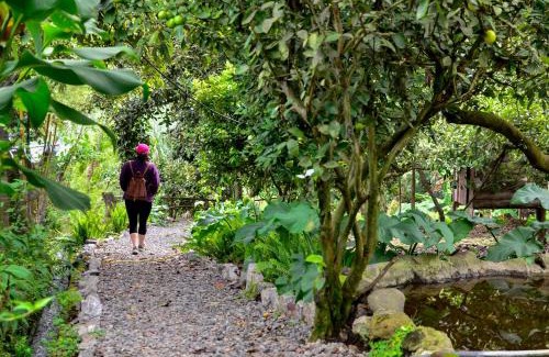 Pelileo Other | QuillaGlamping