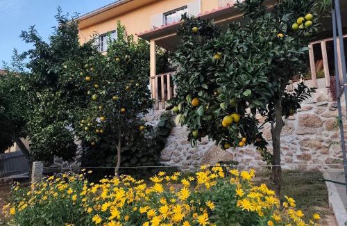 Sao Pedro do Sul Apartment | Quinta Cunha