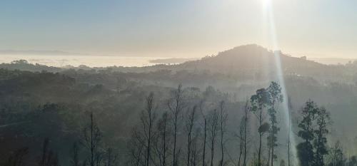 Leiria House | Quinta da Chumbaria - heaven on a hilltop, peace and stunning views!