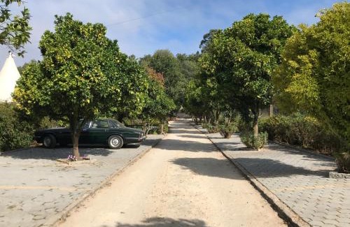 Alquerubim House | Quinta da Fontoura