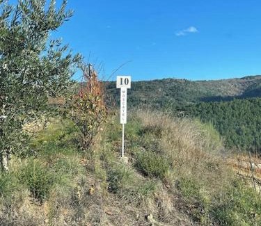 Casas Novas Apartment | Quinta da Penada - Vineyard & Winery - Suíte 3