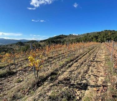 Casas Novas Apartment | Quinta da Penada - Vineyard & Winery - Suíte 3