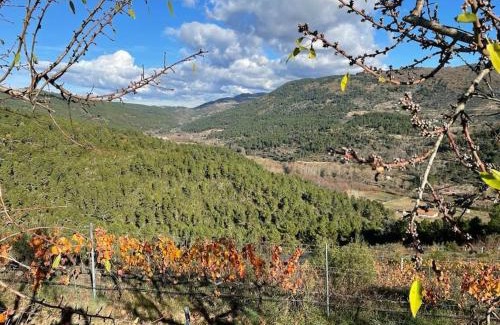 Casas Novas Apartment | Quinta da Penada - Vineyard & Winery - Suíte 3