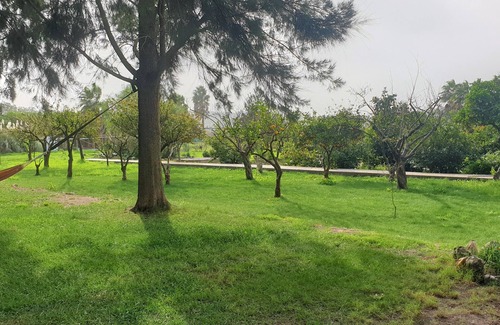 Chinicato Cottage | Quinta das Origens