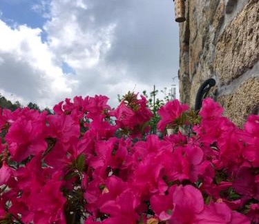 Sao Pedro do Sul House | Quinta das Uchas