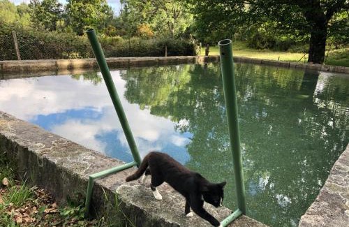 Sao Pedro do Sul House | Quinta das Uchas