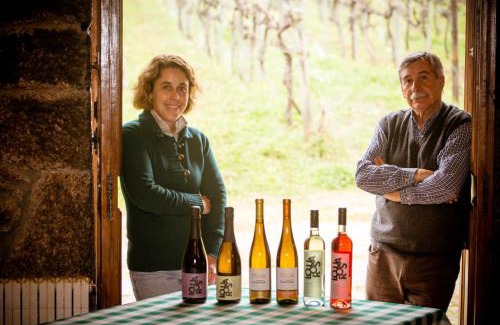 Lousada House | Quinta de Lourosa