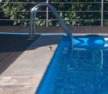 Praia da Vitoria Villa | Quinta de Santo António