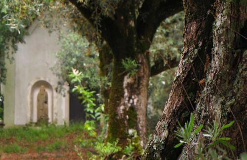 Nossa Senhora do Pranto House | Quinta do Cerquito