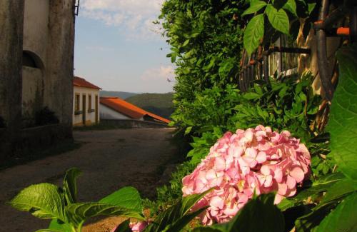 Nossa Senhora do Pranto House | Quinta do Cerquito