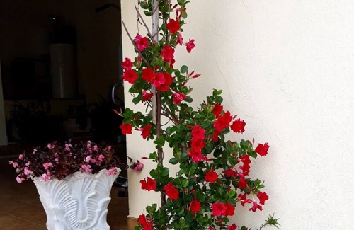 Areias Bed & Breakfast | Quinta dos Templários.