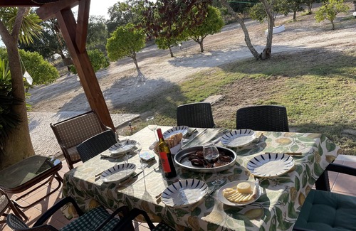 Canha House | Quinta "monte Velho" - Country Side Near Lisbon