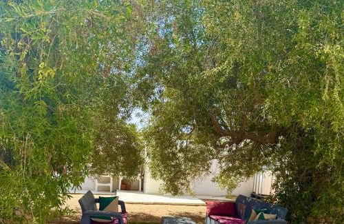 Djerba Midun Apartment | Résidence Azur Djerba