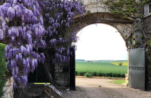 Gauciel House | Résidences Le Clos du Manoir - Self Cooking