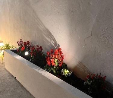 Povoacao House | Raízes AL