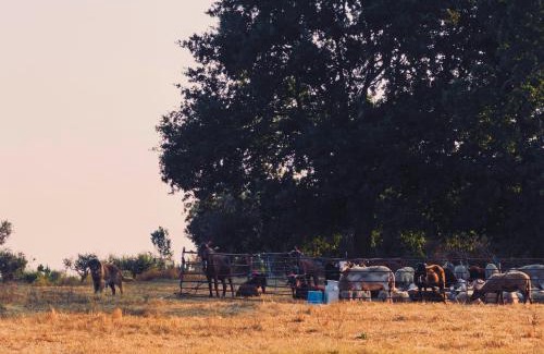 Seia House | Raízes da Vinha - Hotel Rural Serra da Estrela, Seia