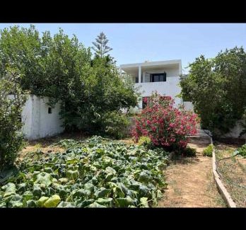 al hmeri House | Rafraf Horizon Retreat