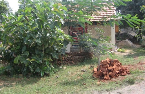 Tiruvannamalai House | Raman alayam Guest House