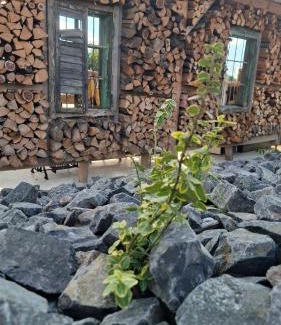 Gornji Petrovci Apartment | RANČ Dida