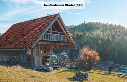 Vojnik House | Ranch at Geta