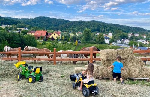gmina odygowice Cabin | Rancho-Bierna