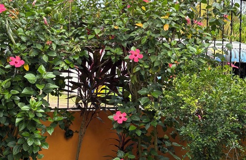 Acajutla Cottage | Rancho corteznCozy cottage with ac